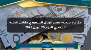 مفاجأة جديدة: سعر الريال السعودي مقابل الجنيه المصري اليوم 20 أبريل 2025